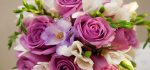 سایت خرید گل و گیاهان آپارتمانی، دسته گل عروس، ماشین عروس